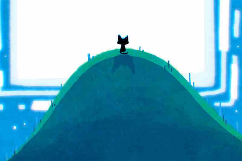 cat on a hill