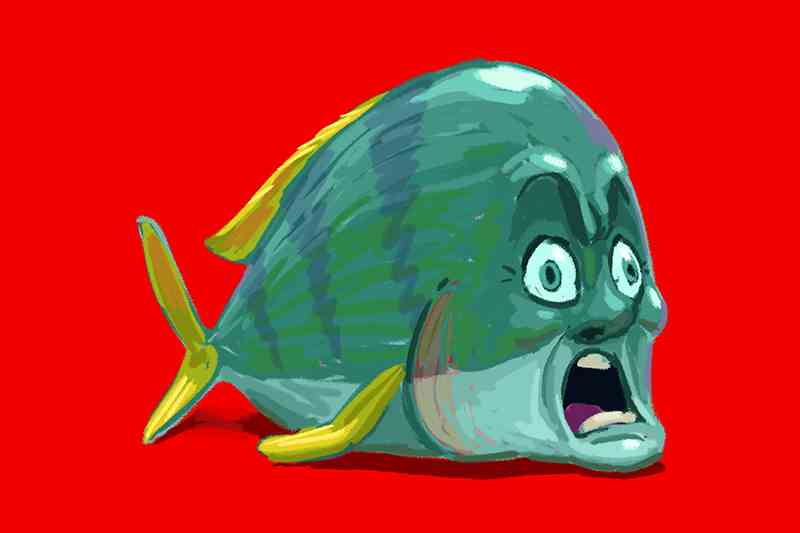 big green fish with red background