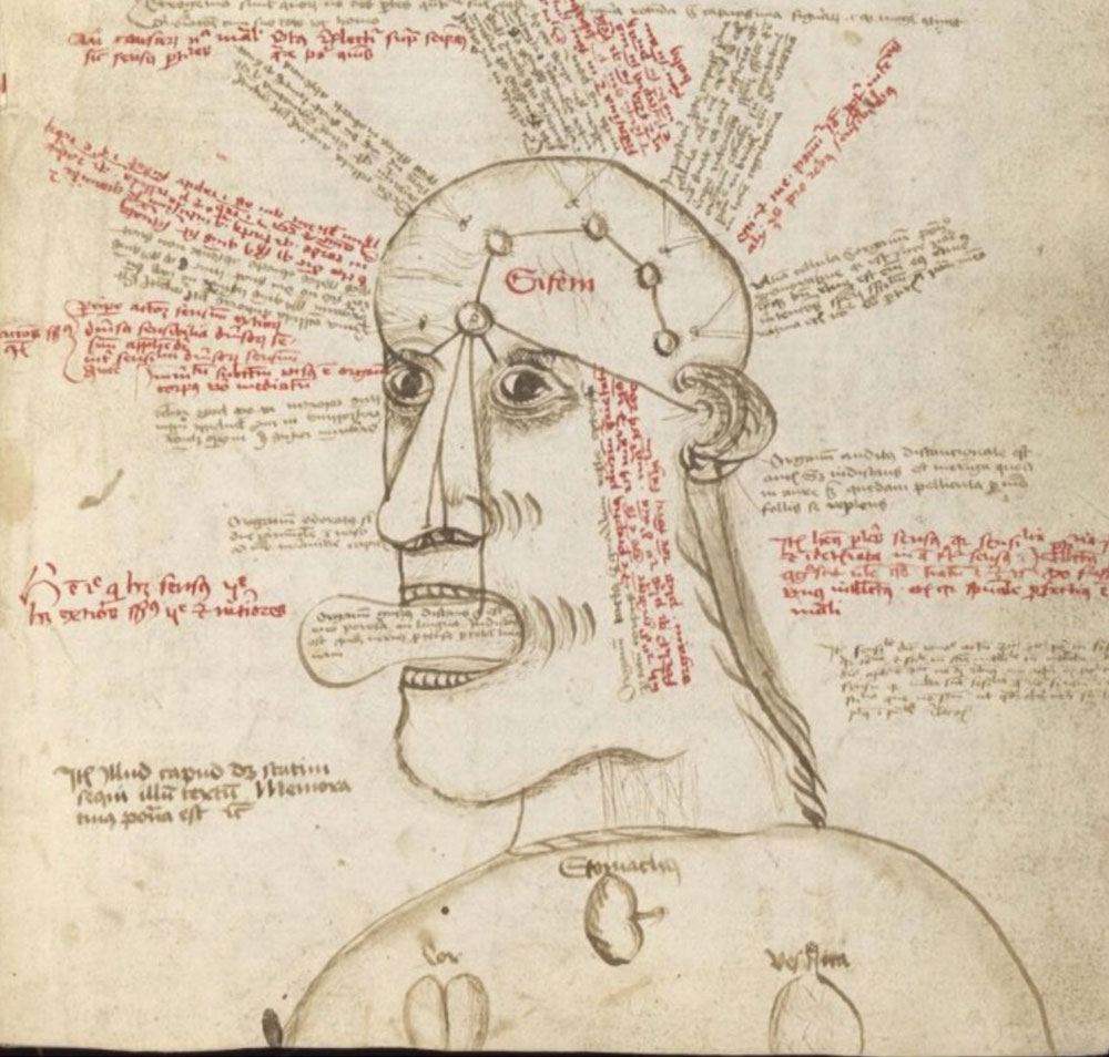 drawing of a human head with words coming out in every direction