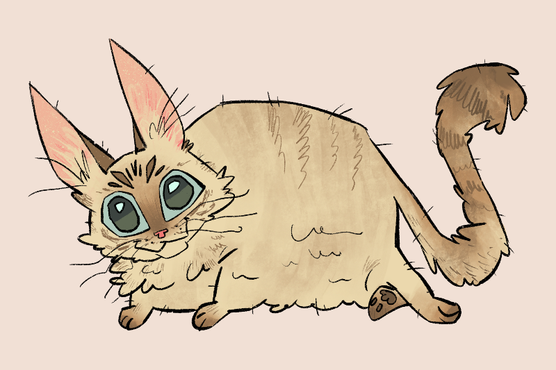 Illustration of a cute, wide-eyed cat with large ears and a fluffy, light brown coat.