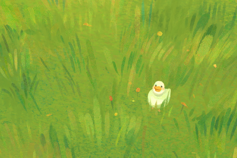 A small white baby duck standing in a green meadow with various shades of grass.