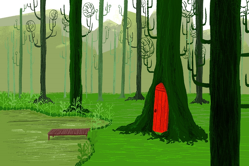 An enchanted forest scene with tall, dark green trees, a vibrant red door in one tree, and a small wooden bench on the grass.