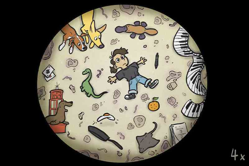 Illustration of a boy lying amidst various objects and animals seen through a circular lens. "4x" is written in the bottom right.