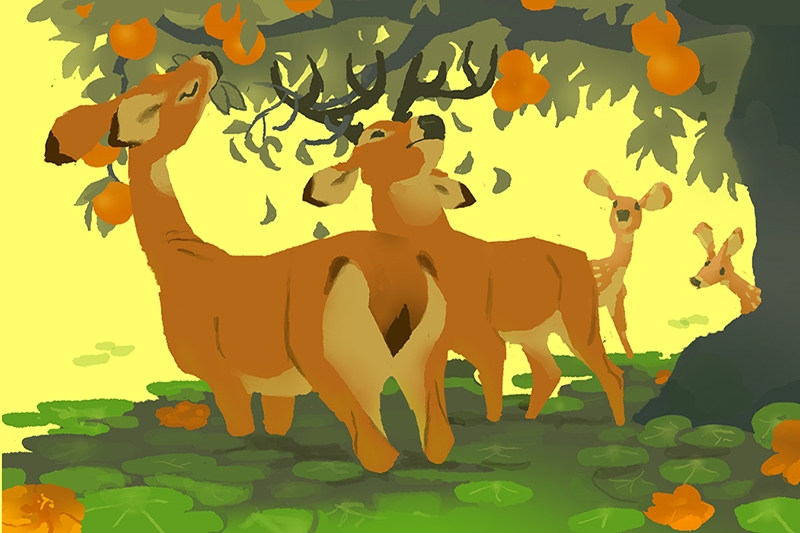 Illustration of deer under an orange tree with fruit-laden branches.