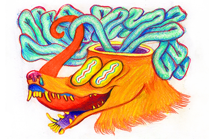 Surreal drawing of an orange-furred animal head with bright colors and twisted blue-green shapes protruding from an open top.