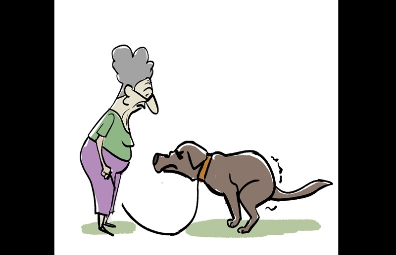 Cartoon of an elderly woman facing a brown dog with an orange collar, tail between its legs.