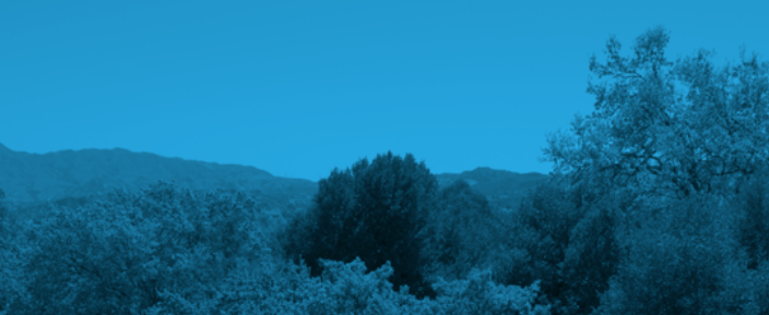 Image of trees on campus at CalArts through a blue filter