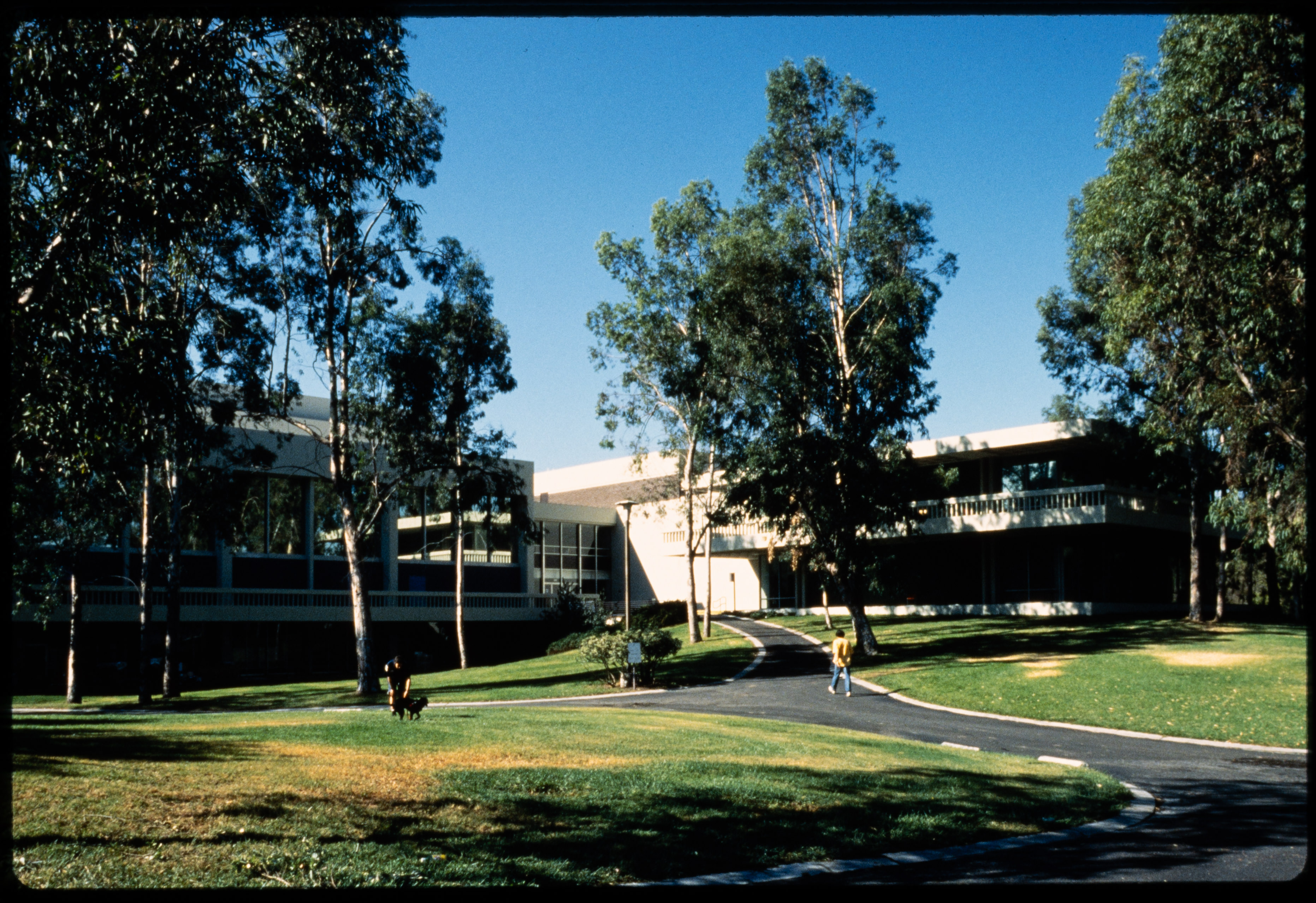 vintage photo of calarts campus by the graduation courtyard, showing a large field of green grass surrounded by trees with a campus building in the background