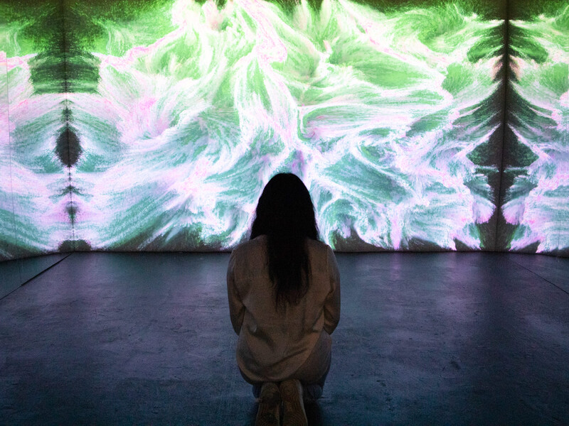 A person with long dark hair with their back to the camera faces a wall in a darkened art gallery. A fluid, abstract pattern in colors of pink, white, and green is projected on the wall.