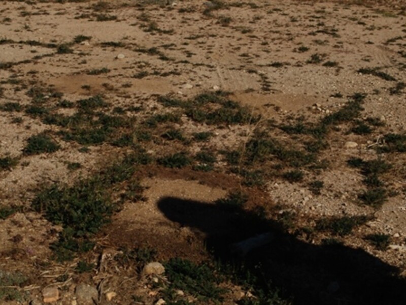 Image of a place of nature with a visible shadow