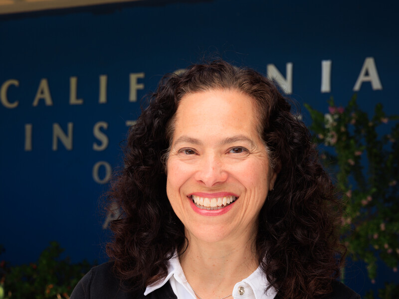 Tracy Costantino, CalArts provost