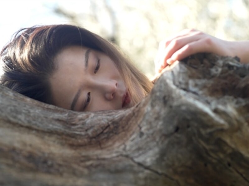 person laying on tree