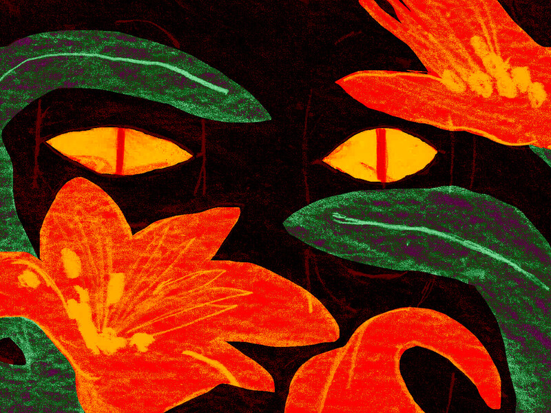 Animation of a pair of yellow eyes hidden in darkness behind plants