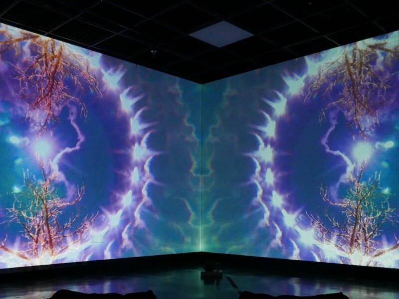 Two floor-to-ceiling screens at 90 degrees to one another display projections of ethereal concentric circles with tree branches impinging from the top and bottom 