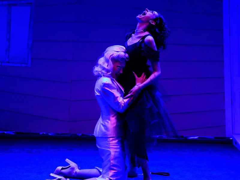 The silhouette of a person on a dark stage with blue shadows