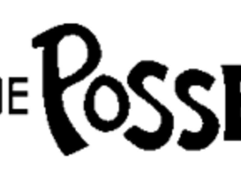 Logo for The Posse Foundation, Inc. with stylized text.