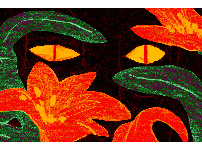 Dark image with yellow cat-like eyes surrounded by orange flowers and green leaves.