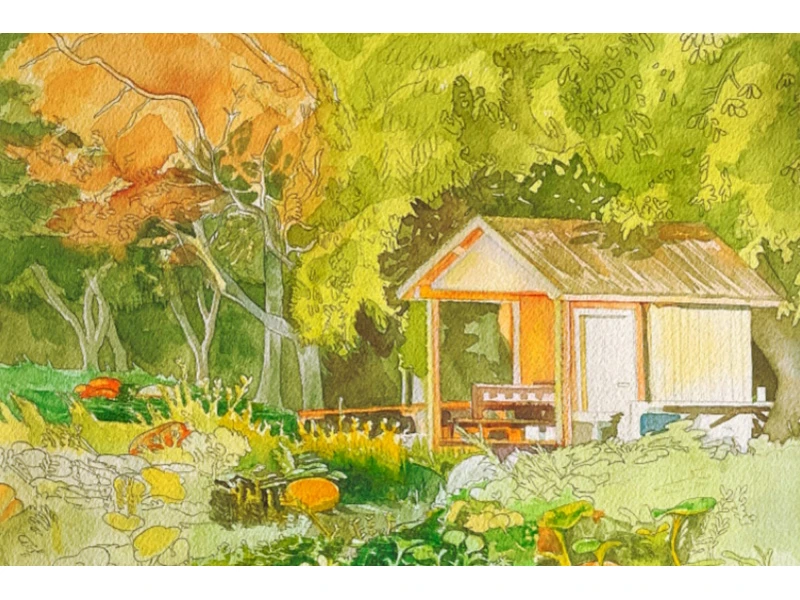 serene view of house in forest