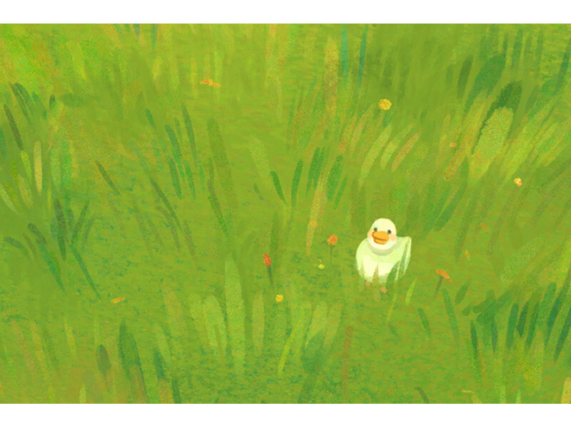 A small white duckling stands in a lush, green grassy field.