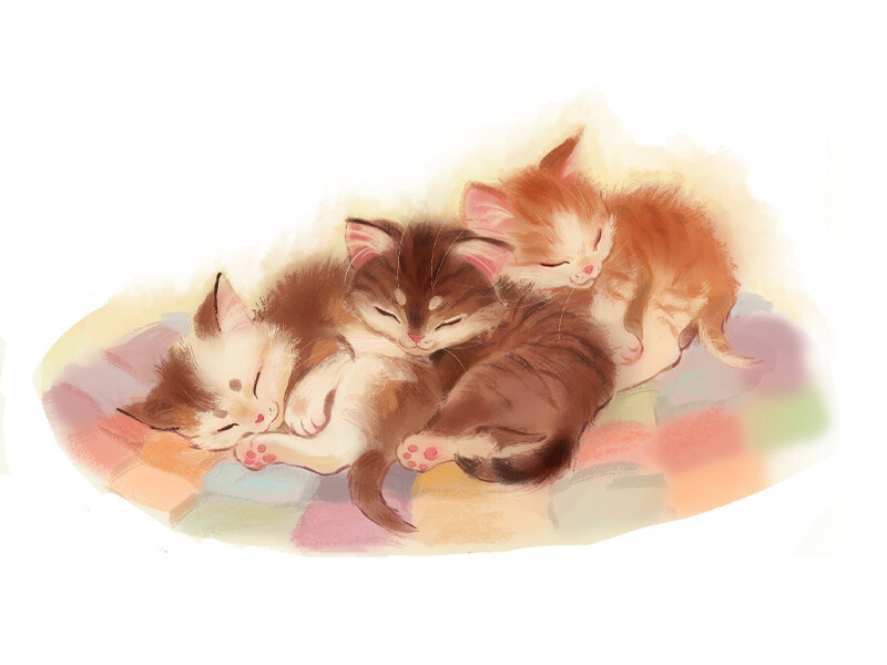 Three sleeping kittens on a pastel quilt.