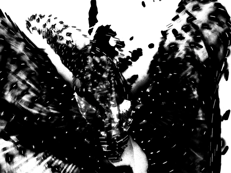 Abstract black and white symmetrical pattern resembling a butterfly with intricate textures and scattered dots.