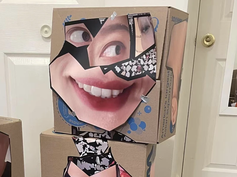 An artwork depicting a human figure in fractured images pasted on boxes. 