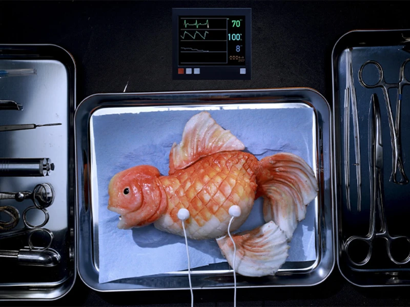 A realistic food sculpture of a fish on a metal tray with surgical tools and a digital monitor displaying vital signs.