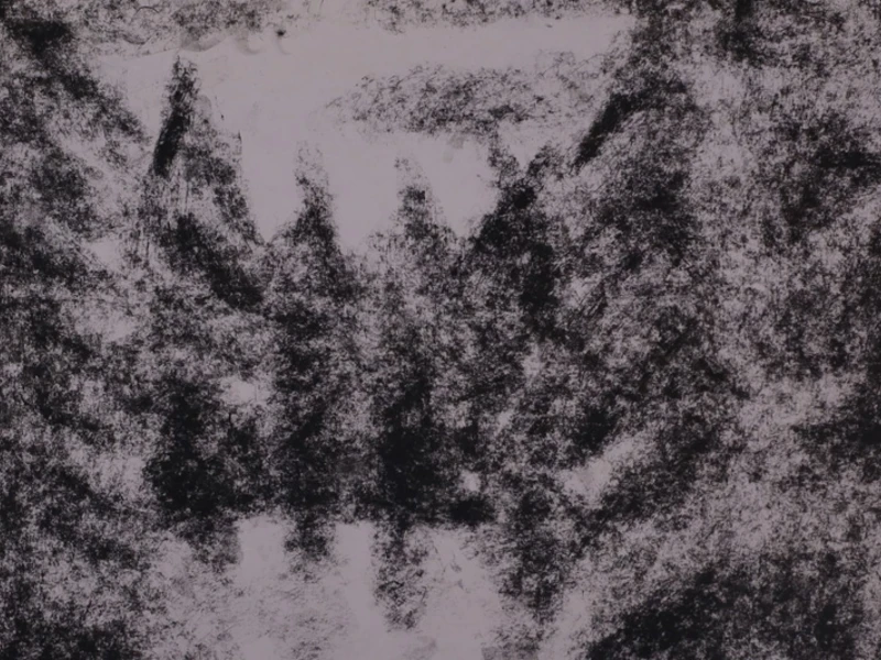 Abstract black and white texture resembling a dense forest