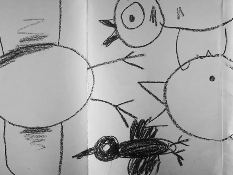 A black-and-white sketch of abstract bird-like figures on folded paper.