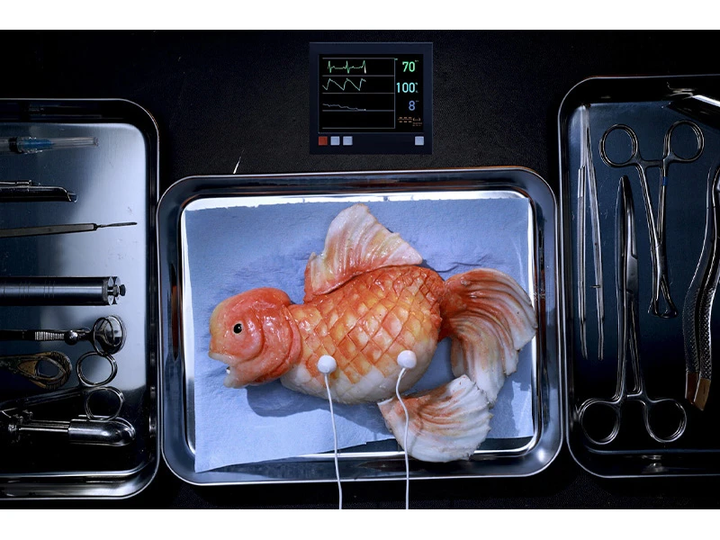 A realistic food sculpture of a fish on a metal tray with surgical tools and a digital monitor displaying vital signs.