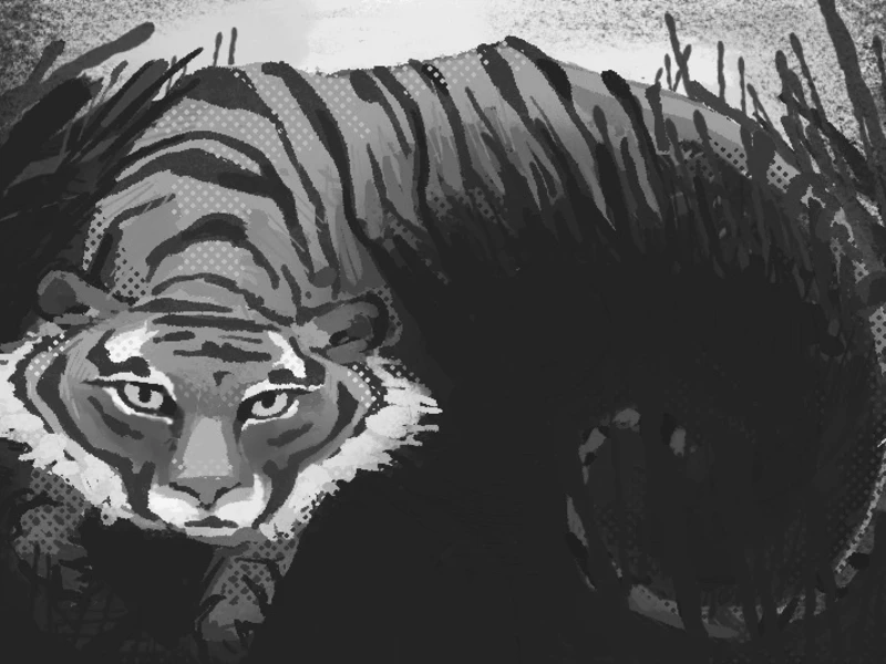 Grayscale illustration of a crouching tiger amidst tall grass.