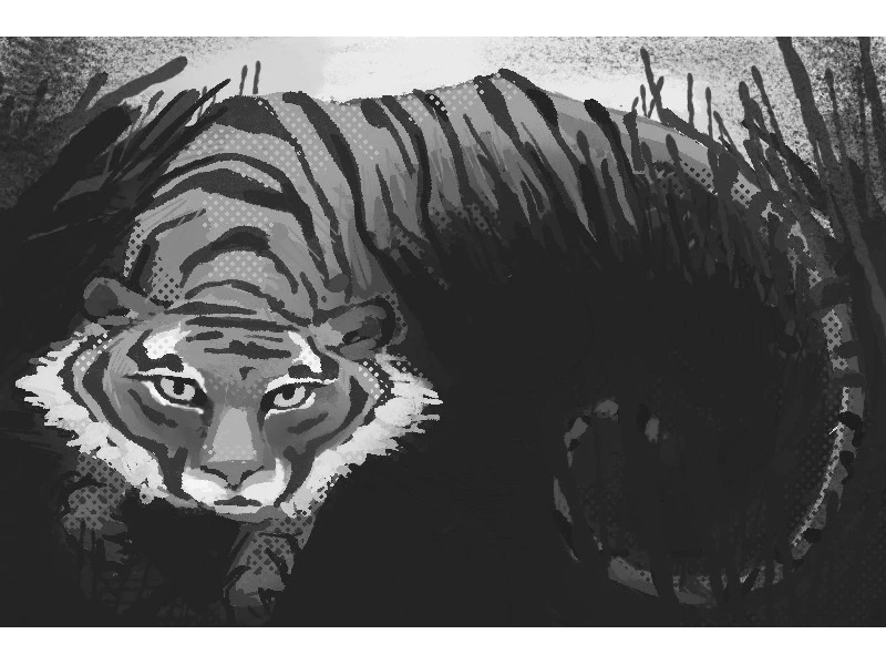 Grayscale illustration of a crouching tiger amidst tall grass.