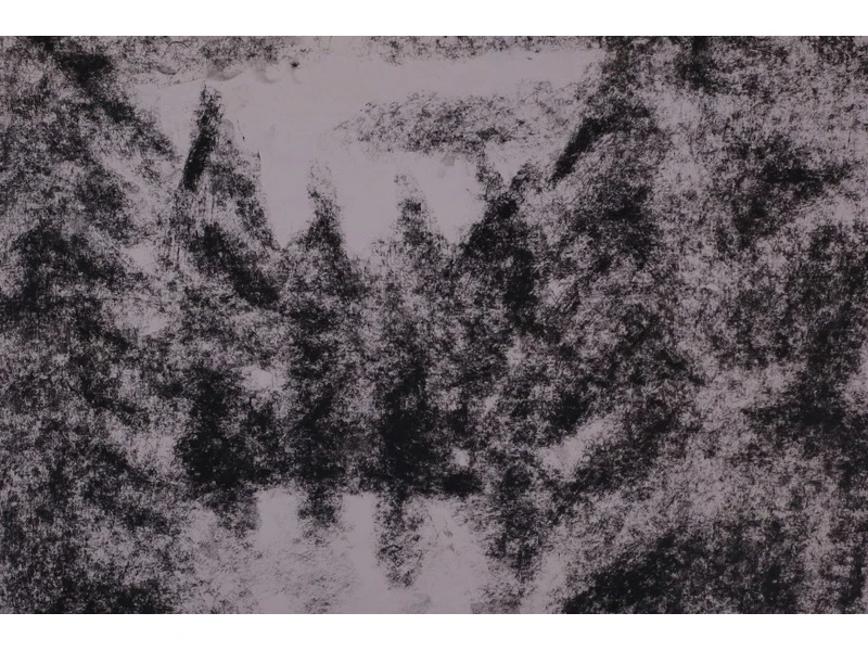 Abstract black and white texture resembling a dense forest