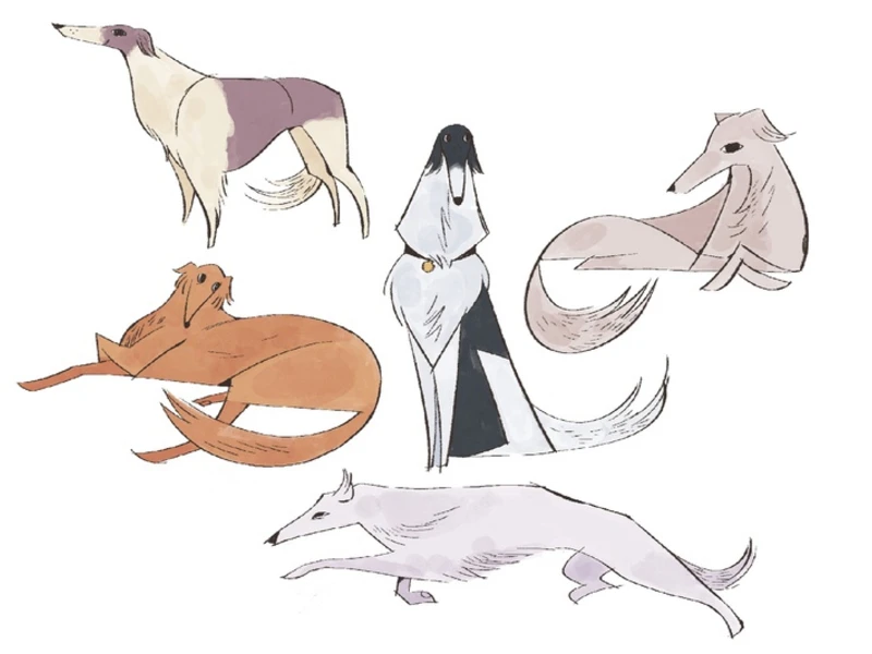 A collection of five stylized illustrations of sighthound dogs in various poses.