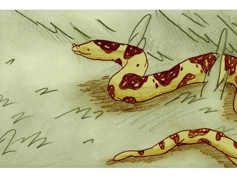 Illustration of a yellow and brown spotted snake moving through grass.