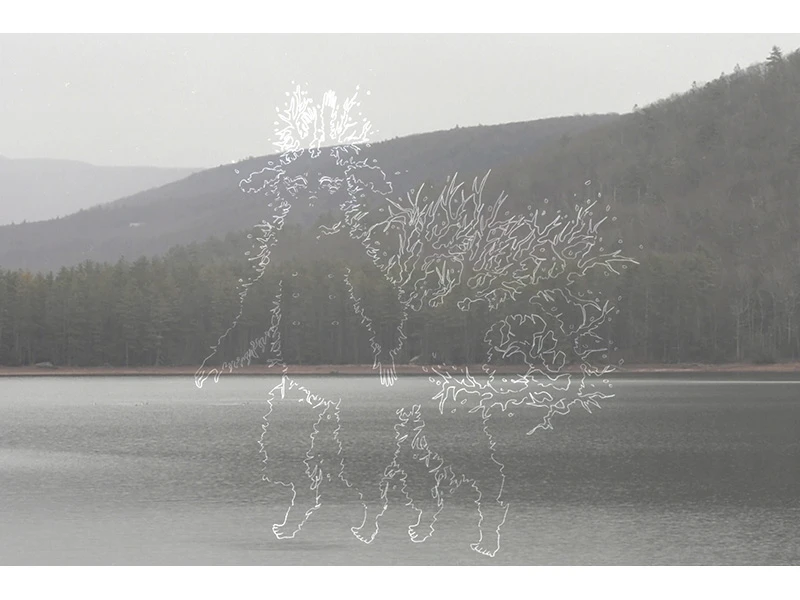 Misty landscape with a lake and forest, overlaid with a transparent, abstract humanoid figure drawn in white lines.