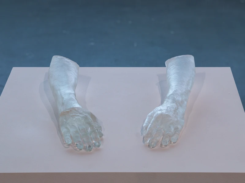Two translucent arm sculptures on a light pedestal against a blue-grey background.
