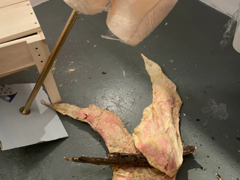 Abstract mixed media installation with translucent sculpture and textured floor material.