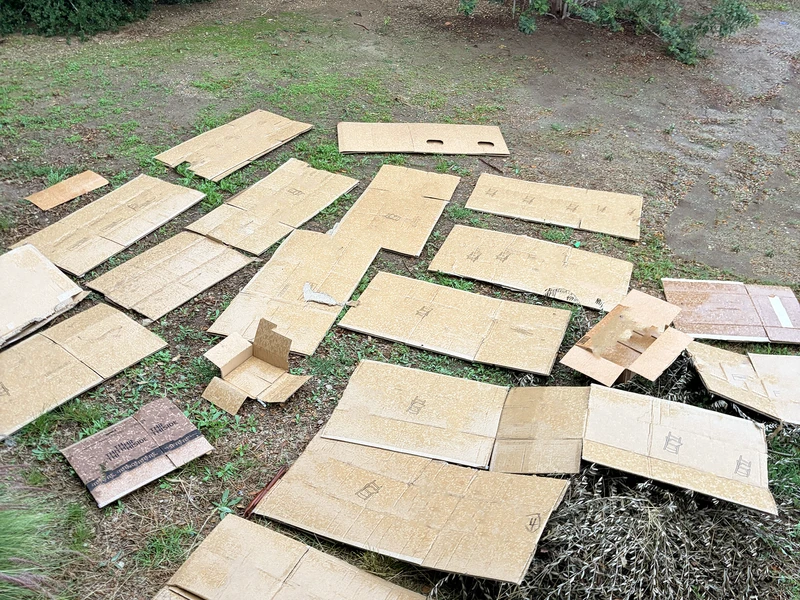 Flattened cardboard boxes spread across grass and dirt, with green bushes in the background.