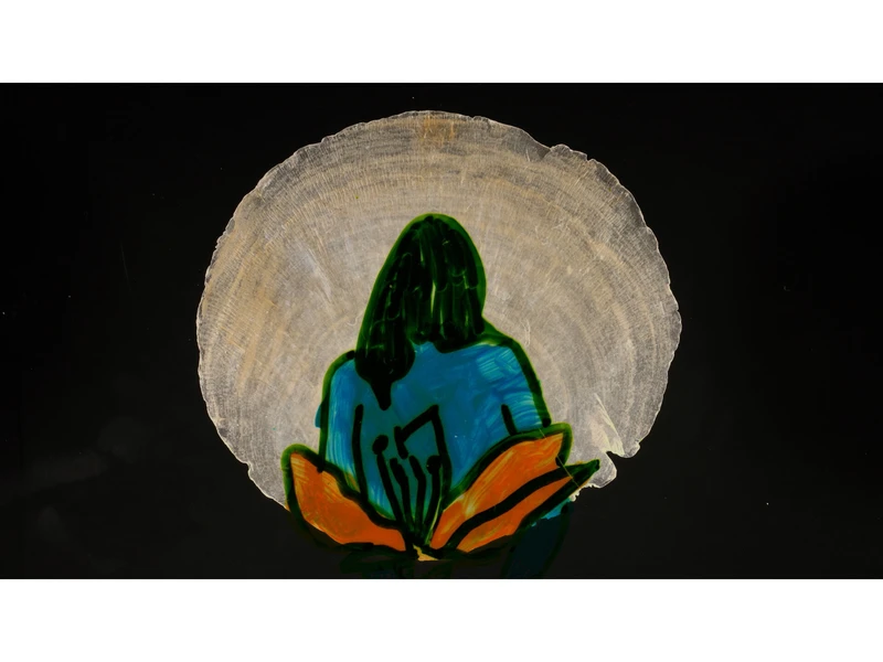 A person with long green hair holding an orange flower is seen from behind, surrounded by a pale circular halo against a dark background.