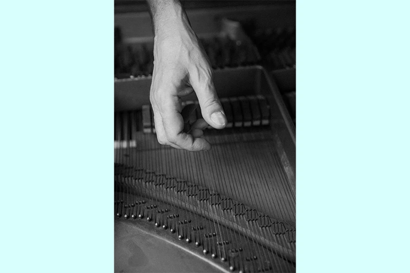 A hand interacting with the interior strings of a grand piano.